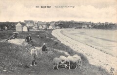 Saint Cast - Vue De La Grande Plage