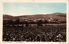 Chenas - Vue Generale à Chénas