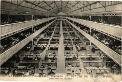 Manufacture Francaise d'Armes et Cycles de Saint-Etienne - Grand...