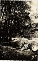 Le Bois de Boulogne - Coin reposant près du champ à Paris 16e