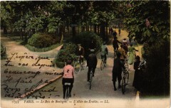 Carte postale ancienne Bois de Boulogne - L'Allée des Erables
                                                                     à Paris 16e
                                