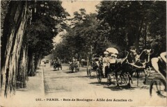 Carte postale ancienne Bois de Boulogne - Allée des Acacias
                                                                     à Paris 16e
                                