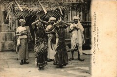Carte postale ancienne Jardin Zoologique d´Acclimatation - Les Malabares
                                                                     à Neuilly-sur-Seine
                                