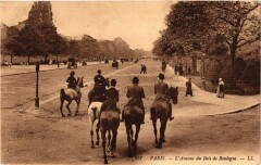 Carte postale ancienne L'Avenue du Bois de Boulogne
                                                                     à Paris 16e
                                