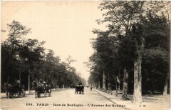 Bois de Boulogne - L'Avenue des Accacias à Paris 16e