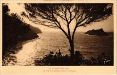 Ile de Port-Cros - La baie de la Soltitude et rocher du Rascas