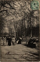 Carte postale ancienne Allée au Bois de Boulogne
                                                                     à Paris 16e
                                