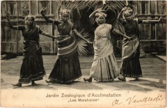 Carte postale ancienne Jardin Zoologique d'Acclimatation - Les Malabares
                                                                     à Neuilly-sur-Seine
                                