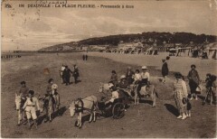Deauville La Plage Fleurie - Promenade a Anes à Deauville