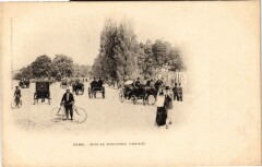 Carte postale ancienne Bois de Boulogne - Cascade
                                                                     à Paris 16e
                                