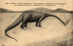 Paris 5e-Jardin des Plantes-Reconstitution du Diplodocus -
																					75005 Paris 5e
																			