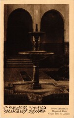 Paris 5e-Institut Musulman-Vasque dans le Jardins à Paris 5e