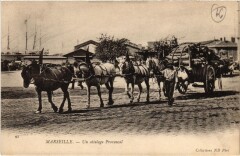 Marseille - Un attelage Provencal à Marseille
