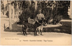 Marseille - Expo Coloniale Type Tunisien à Marseille