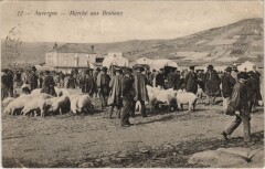 Auvergne - Marche aux Bestiaux