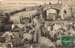 Auvergne - Patre Allant aux Paturages -
													63 Puy de Dôme
												
