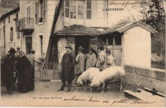 Cantal - Un Coin De Foire - Cochons