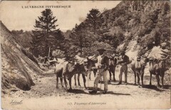 Paysage d'Auvergne