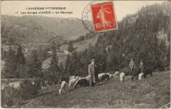 Les Gorges d'Aveze - Un Paturage
