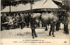 Le Conflit Europeen en 1914 Paris Commission de l'armee
