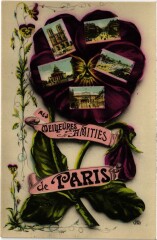Mes Meilleurs Amities de Paris