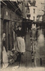 Carte postale ancienne Inondations de Paris (Janvier 1910) - Rue Saint-Charles - Marchande de Légumes
                                                                     à Paris 15e
                                