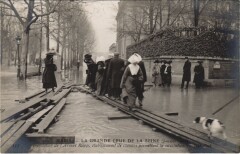 Inondations 1910 Paris Avenue Rapp