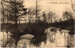 Franchard - Mare aux Pigeons