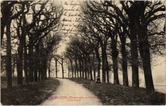 Dammartin - Promenades du Chateau - Cote Nord