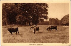 Guermantes - Landscape with Cattles à Guermantes