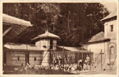 Ecole d'Horticulture des Pressoirs-du-Roy - Les Soins
