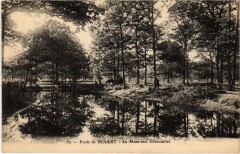 Foret de Senart - La Mare aux Grenouilles