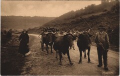 Charroi du Bois de Chauflage