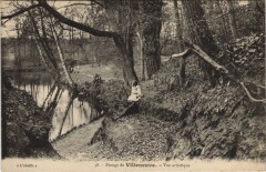 Carte postale ancienne Villeneuve Etangs de Villeneuve - Vue Artistique
                                                                     à Saint-Cloud
                                