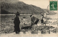 Villers-sur-Mer A la Recherche des Moules à Villers-sur-Mer