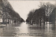 Inondations 1910 Paris Avenue Montaigne