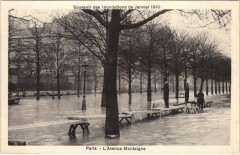 Inondations 1910 Paris Avenue Montaigne
