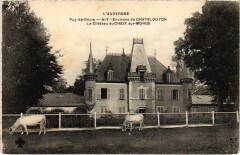 Env. de Chatel-Guyon - Chateau du Cheix-sur-Morge