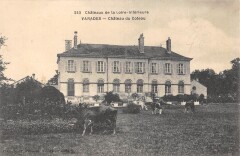 Varades - Chateau Du Coteau - Vaches -
													44 Loire Atlantique
												
