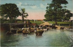 En Sologne Le Gué -
													41 Loir et Cher
												