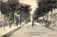 Chatel-Guyon - Avenue Baraduc -
																					63140 Châtel-Guyon
																			