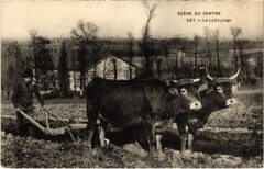 Scene du Centre - Le Labourage
