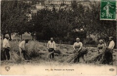 Auvergne - La Moisson