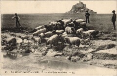Le Mont-Saint-Michel-Les Pres Sales des Greves au Mont-Saint-Michel