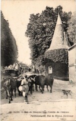 Baye Rue de Sézanne vers l'entrée du Chateau