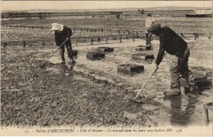 Arcachon-Cote d'Argent-Le travail dans les parcs aux buitres à Arcachon