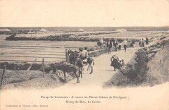 Presqu'Ile Croisicaise - A Travers Les Marais Salants Du Pouliguen - Bour au Croisic
