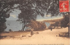 Noirmoutier - Sous Les Chenes Verts Du Bois De La Chaize
