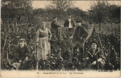 Argenteuil Les Vendanges à Argenteuil