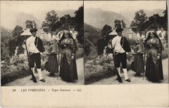 Les Pyrenees Type Bearnais France